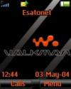 Walkman 2008