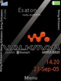 Walkman 2008